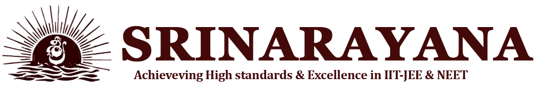 sri Narayana group Logo